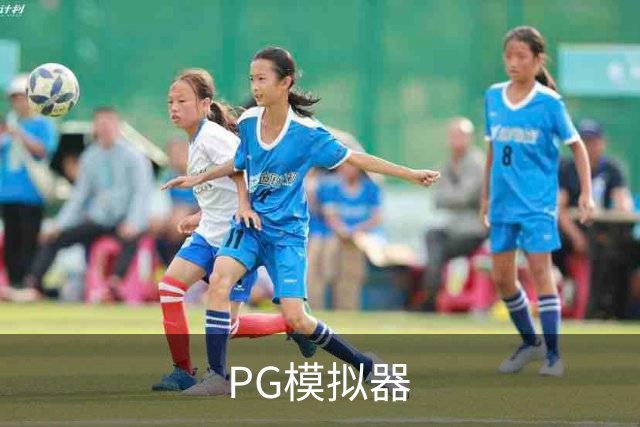 PG模拟器公司简介